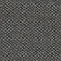 Demi Boucle - Caviar - 2005 - 01 - Half Yard