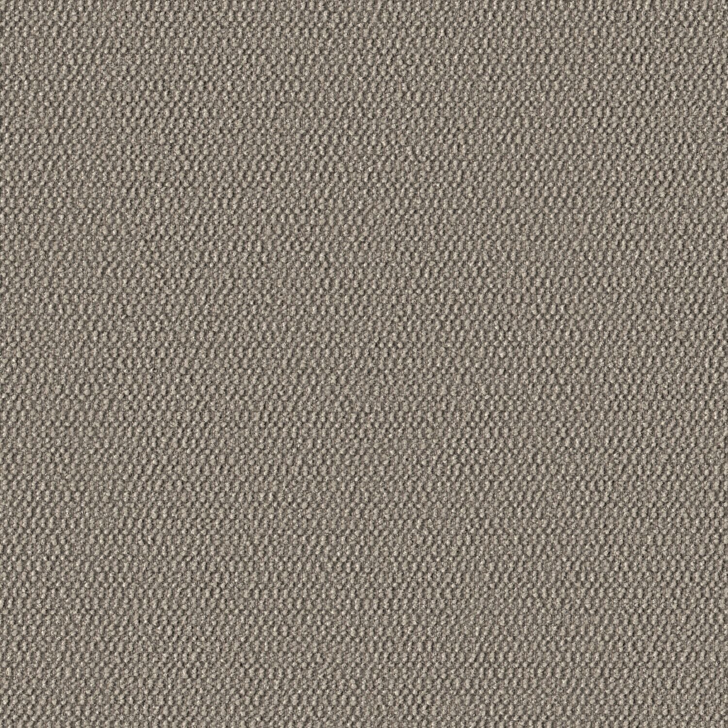 Demi Boucle - Chia - 2005 - 02