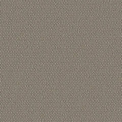 Demi Boucle - Chia - 2005 - 02