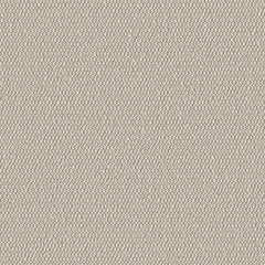 Demi Boucle - Wishbone - 2005 - 03 - Half Yard