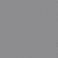 Demi Boucle - Talc - 2005 - 05