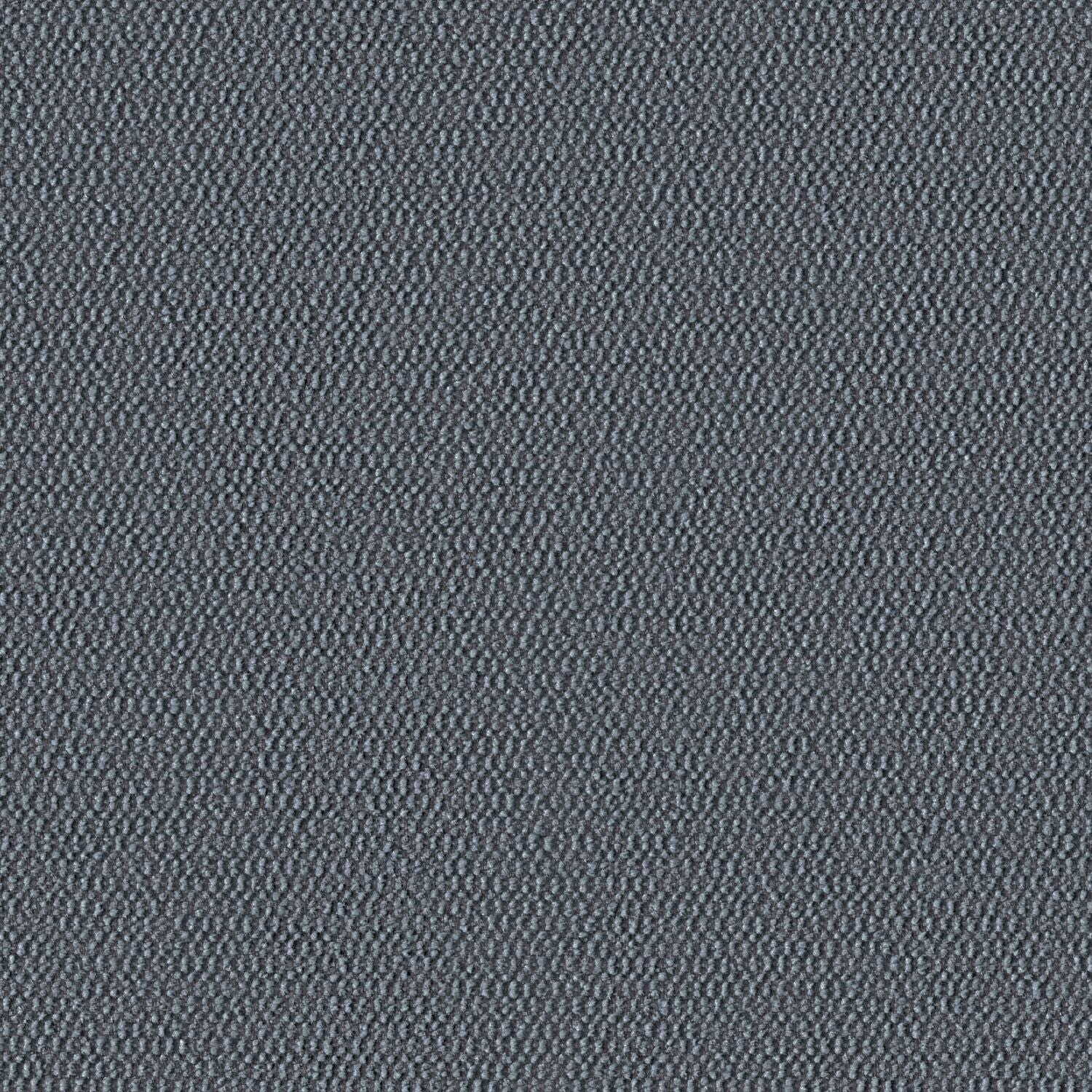 Demi Boucle - Igneous - 2005 - 06