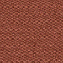 Demi Boucle - Desert Peach - 2005 - 11 - Half Yard