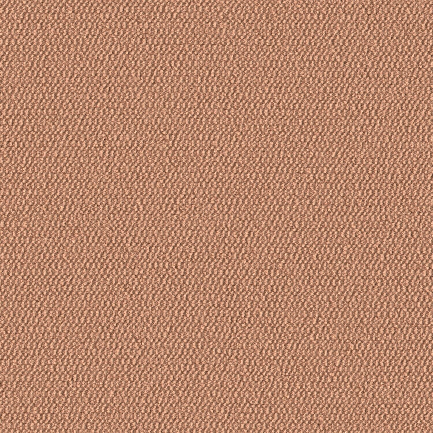 Demi Boucle - Moss-Rose - 2005 - 12 - Half Yard