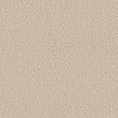 Demi Boucle - Spun Sugar - 2005 - 13 - Half Yard