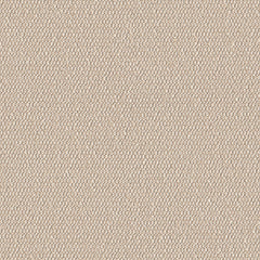 Demi Boucle - Spun Sugar - 2005 - 13 - Half Yard