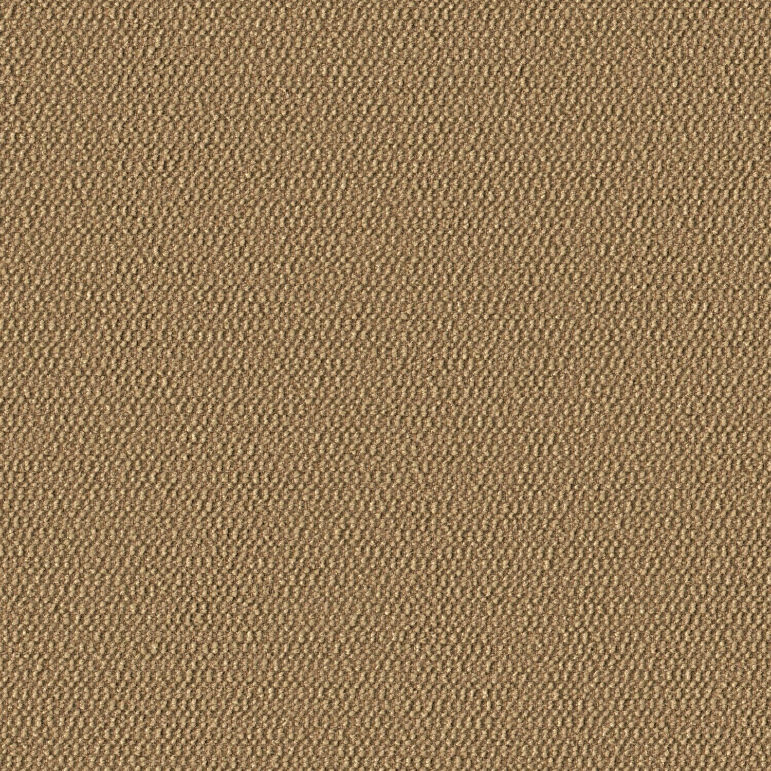 Demi Boucle - Sanddollar - 2005 - 14 - Half Yard