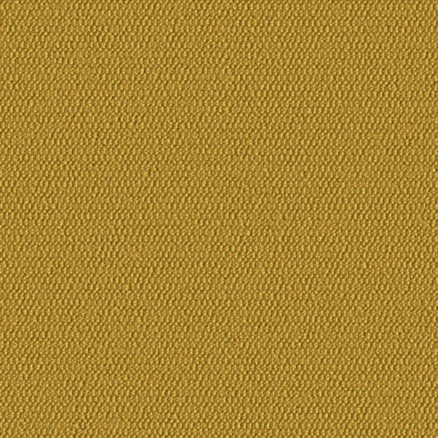 Demi Boucle - Chamomile - 2005 - 15