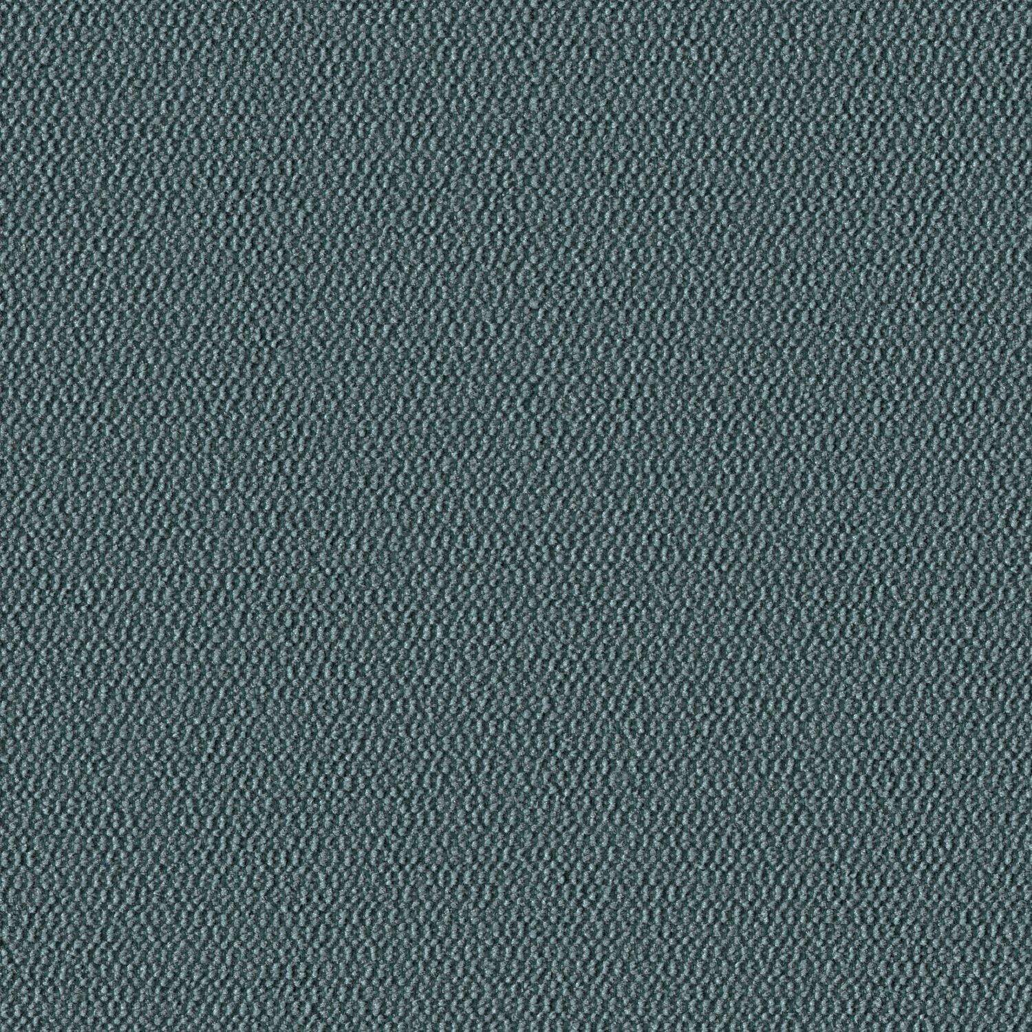 Demi Boucle - Scarab - 2005 - 17