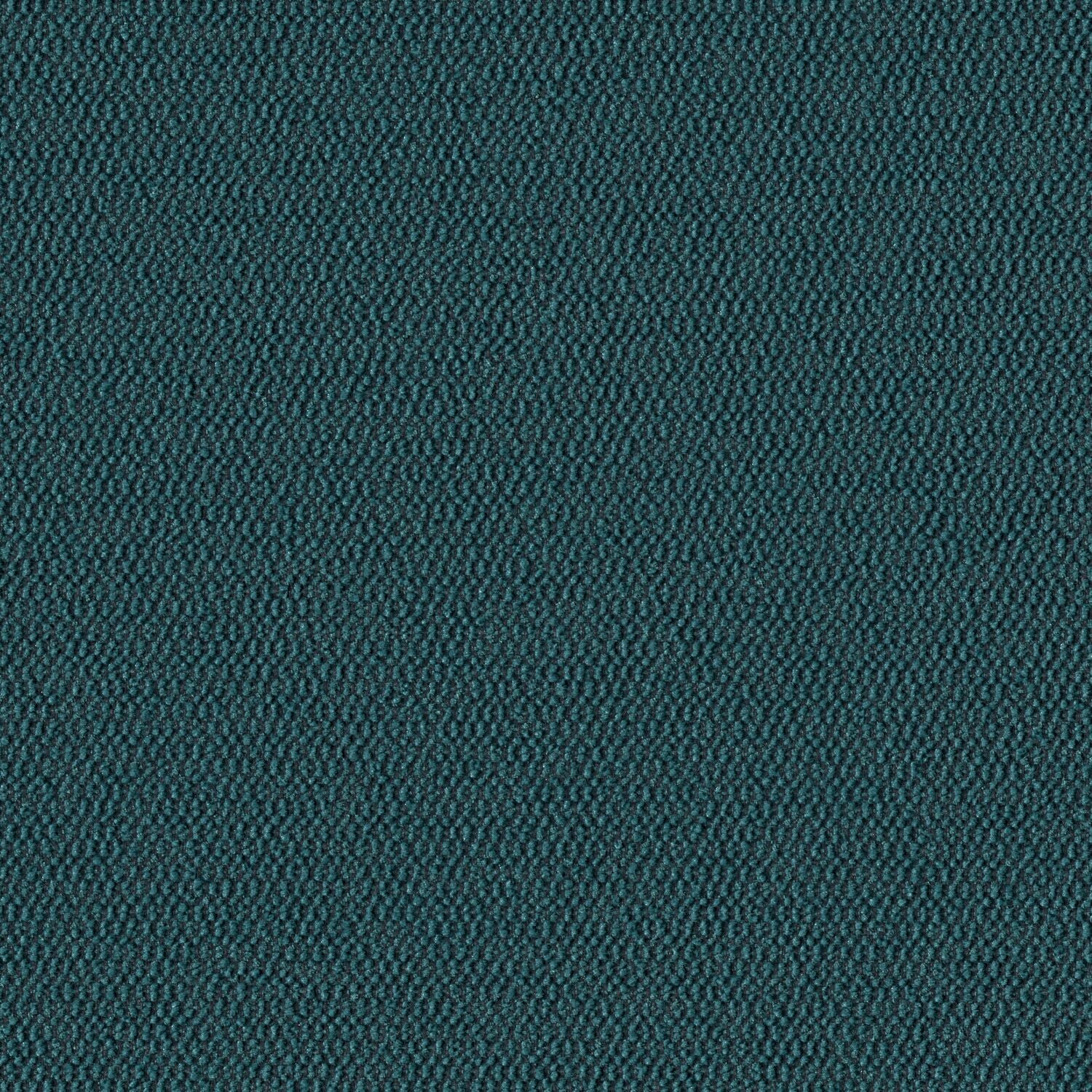 Demi Boucle - Nori - 2005 - 18