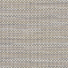 Emit - Dazzle - 1025 - 04 - Half Yard