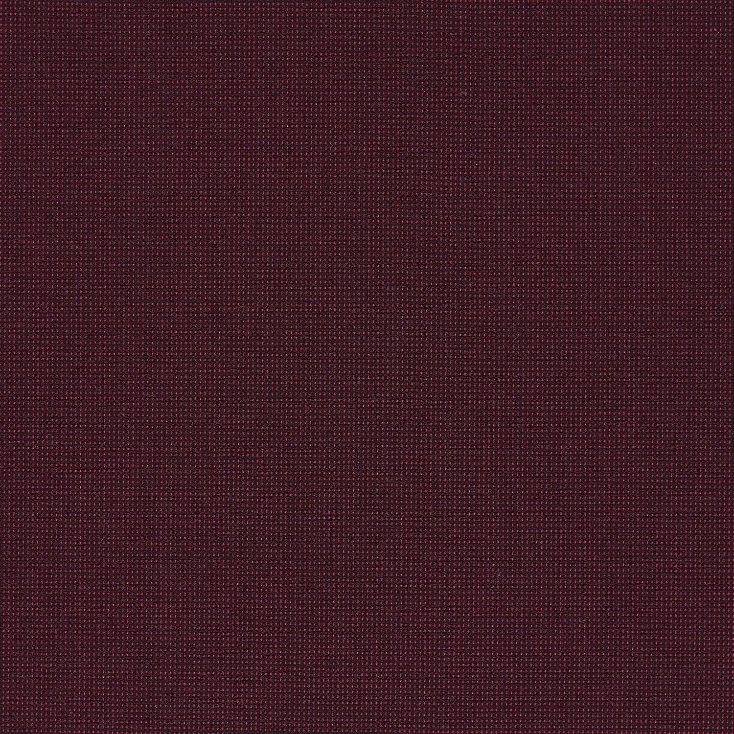 Elastic Wool - Ceylon - 4067 - 09 - Half Yard