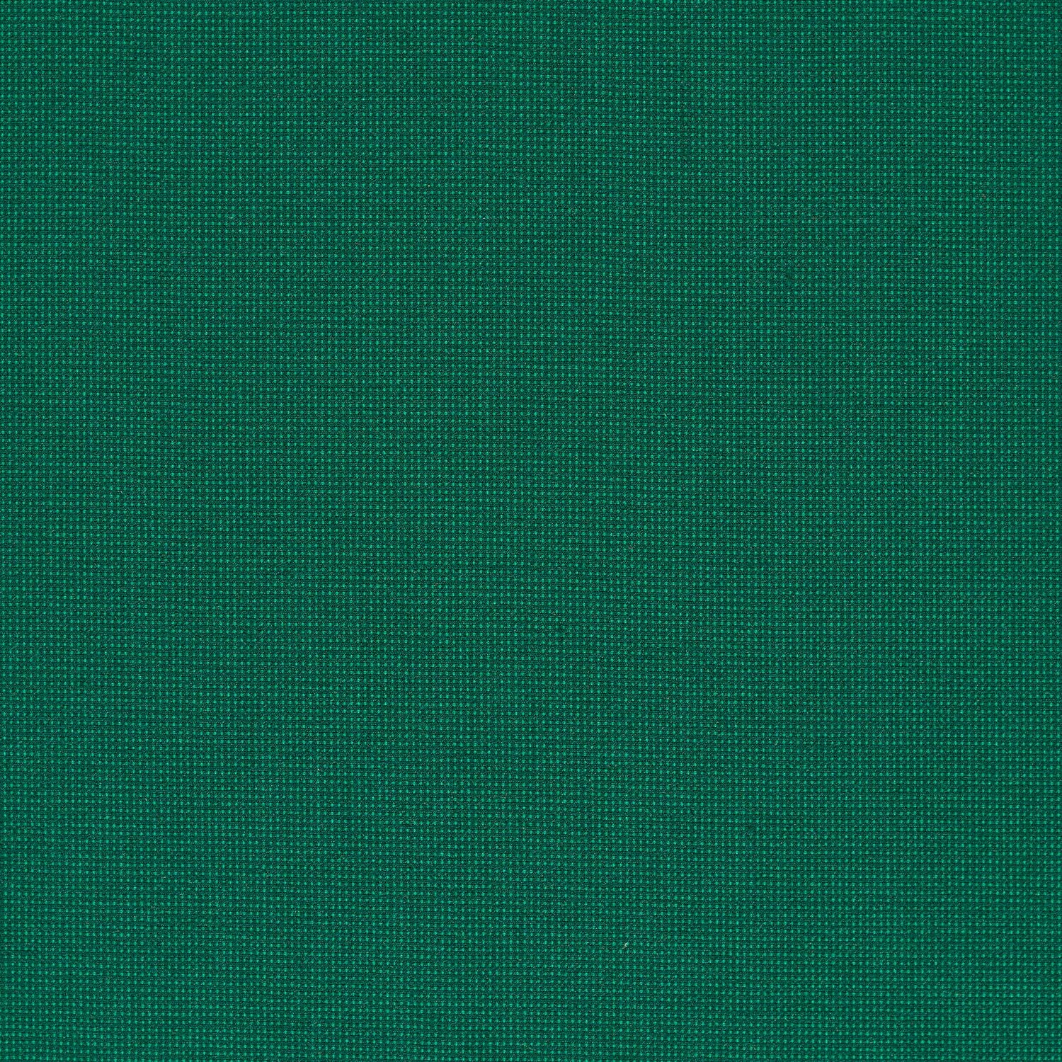 Elastic Wool - Python - 4067 - 13