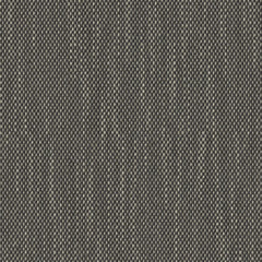 Contrast Slub - Charred Seed - 4115 - 01 - Half Yard