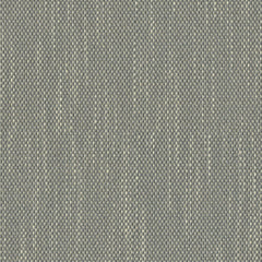 Contrast Slub - Silver Thyme - 4115 - 02 - Half Yard