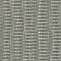 Contrast Slub - Silver Thyme - 4115 - 02