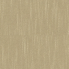 Contrast Slub - Tumbleweed - 4115 - 04