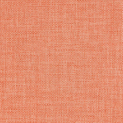 Graviton - Fission - 1034 - 08 - Half Yard