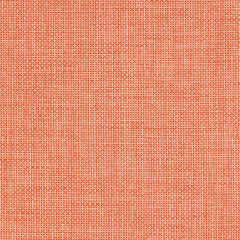 Graviton - Fission - 1034 - 08 - Half Yard