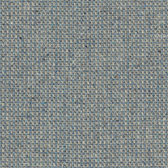 Graph Speck - Plate Glass - 4106 - 14 - Half Yard