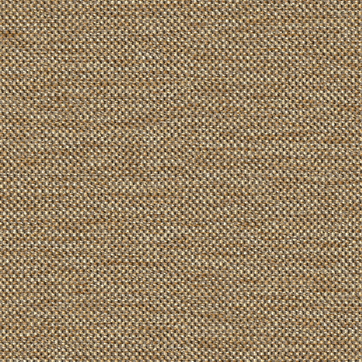 High Frequency - Flash Lag - 2003 - 02 - Half Yard