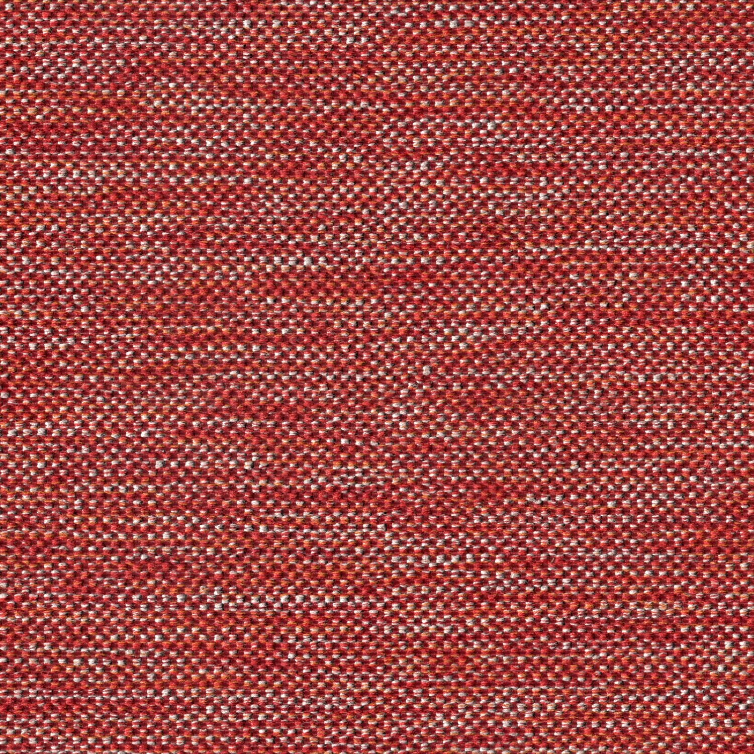 High Frequency - Laser Speckle - 2003 - 06