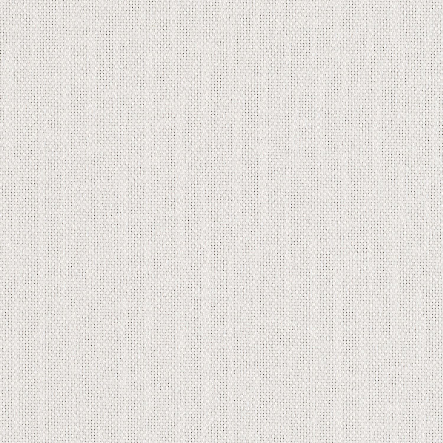 Backdrop - White Out - 1027 - 01
