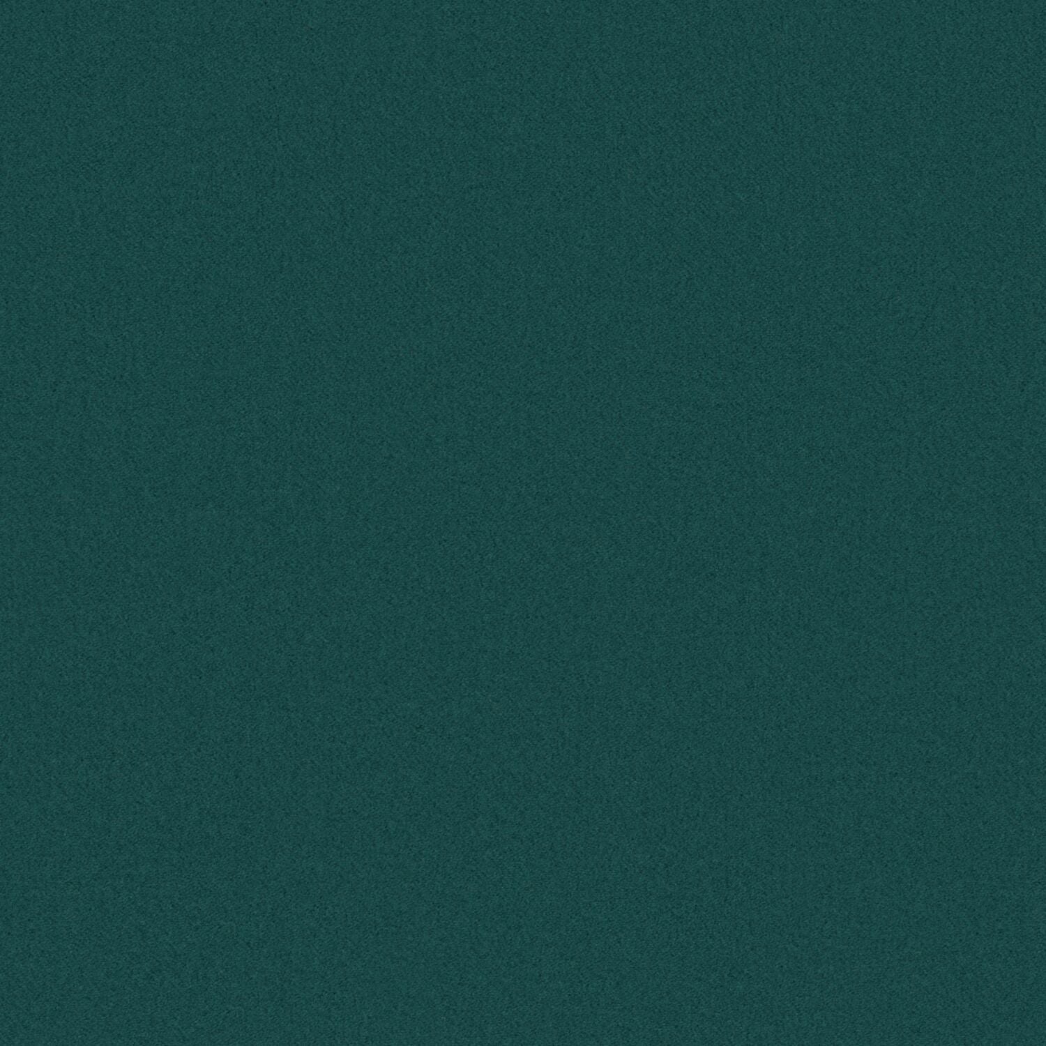 Focal Point - Green Screen - 6002 - 04