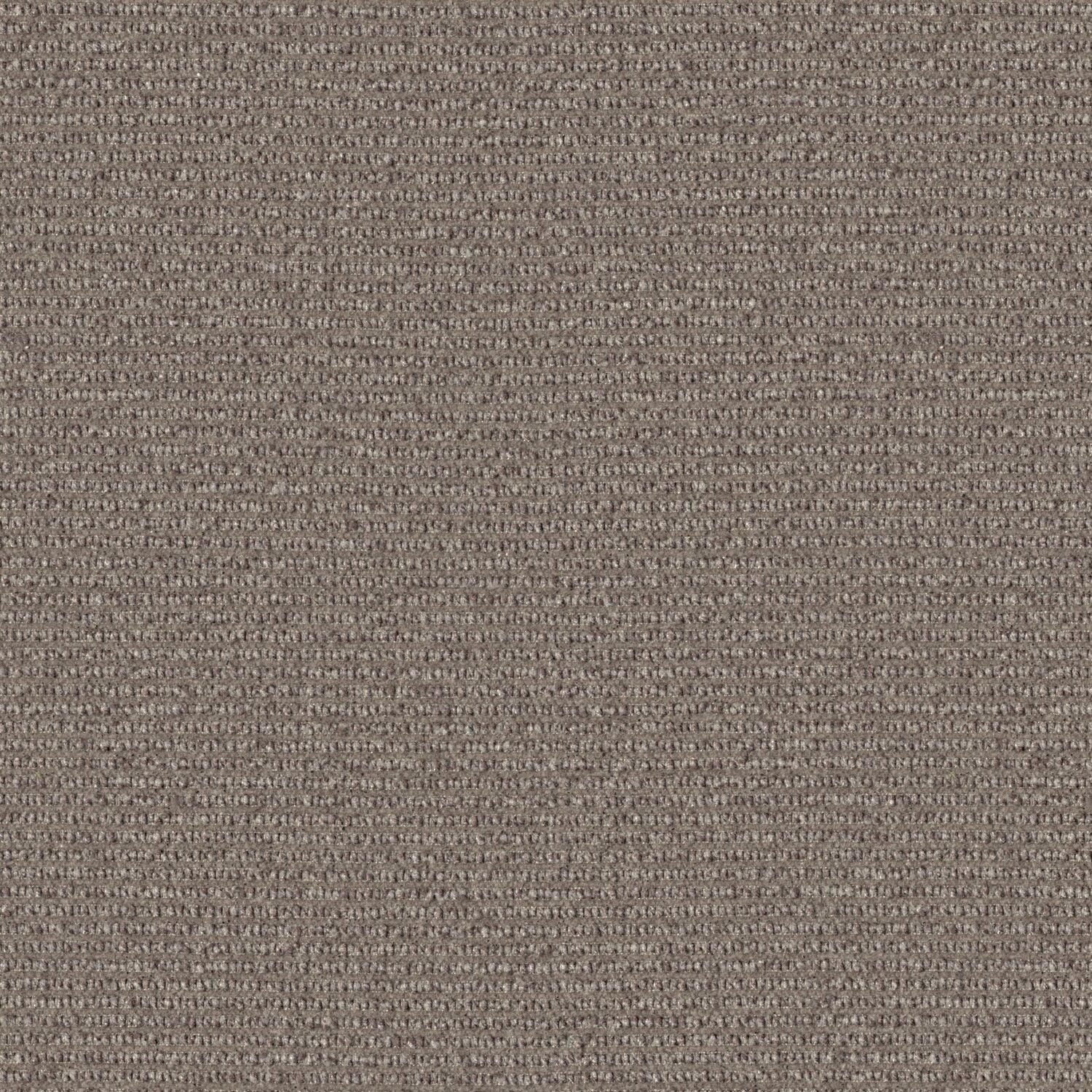 Median - Alder Cone - 2006 - 07 - Half Yard