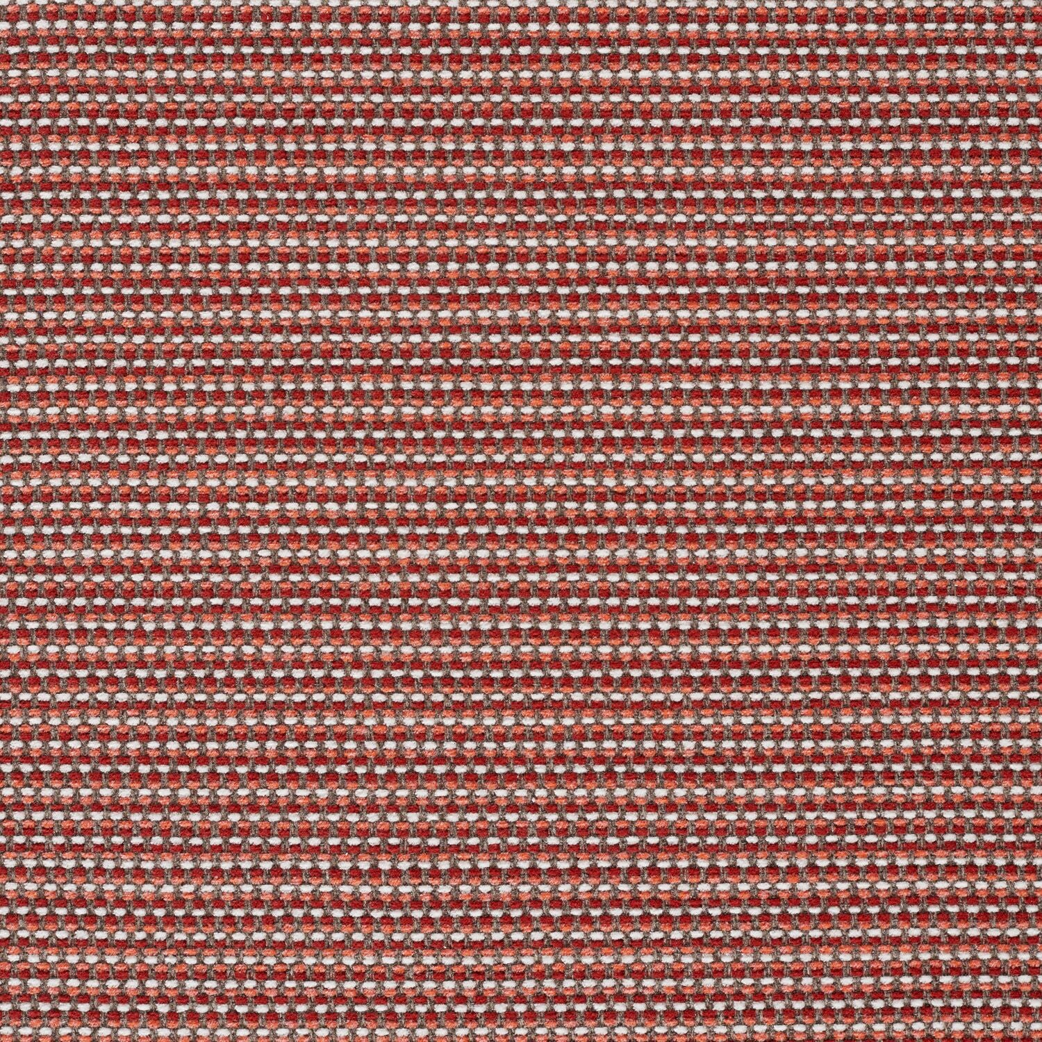 Megapixel - Roe - 4097 - 04 - Half Yard