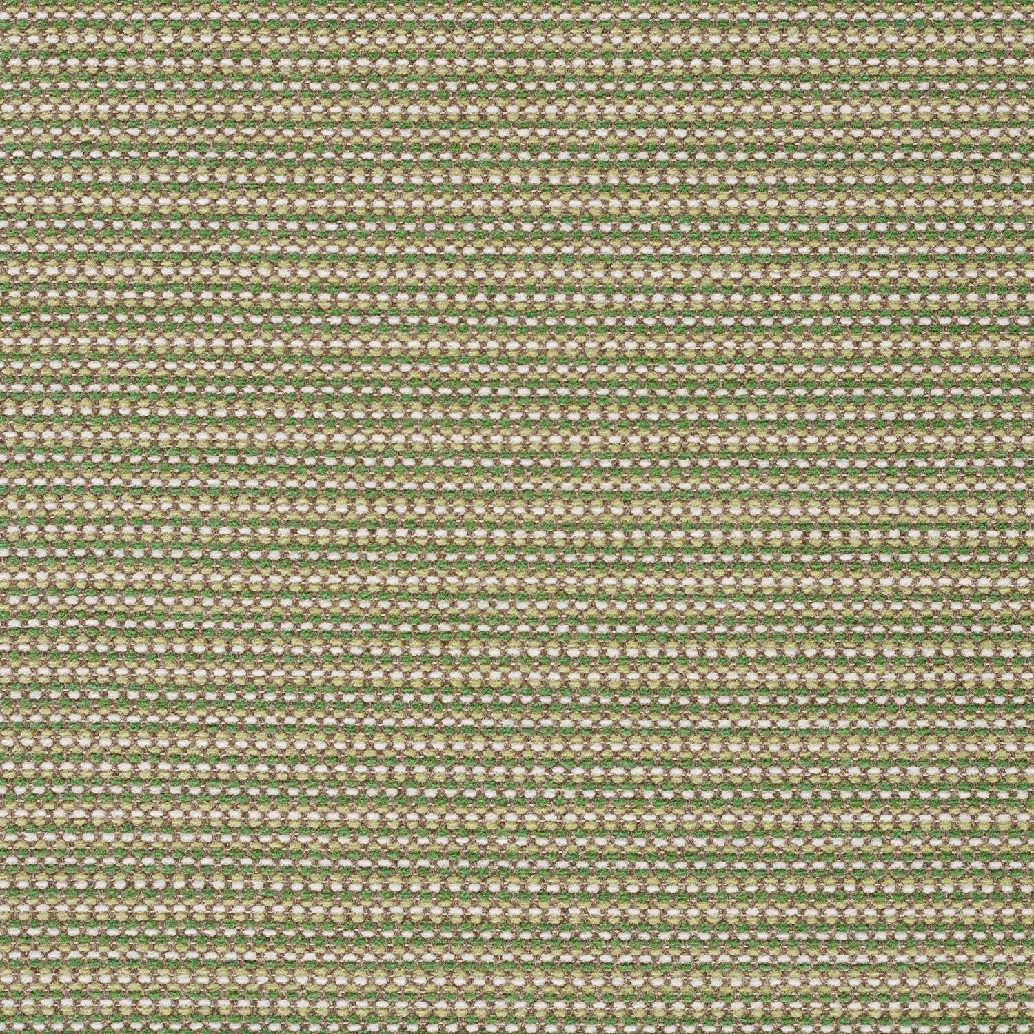 Megapixel - Seedling - 4097 - 06 - Half Yard