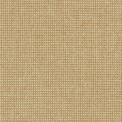 Megacheck - Flashbulb - 4110 - 10 - Half Yard