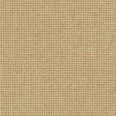 Megacheck - Flashbulb - 4110 - 10 - Half Yard