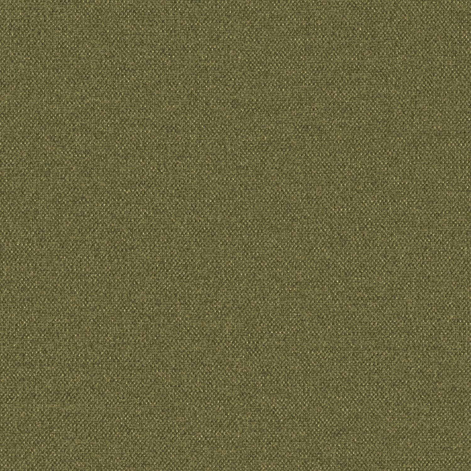 Milieu - Prickle - 2001 - 11 - Half Yard