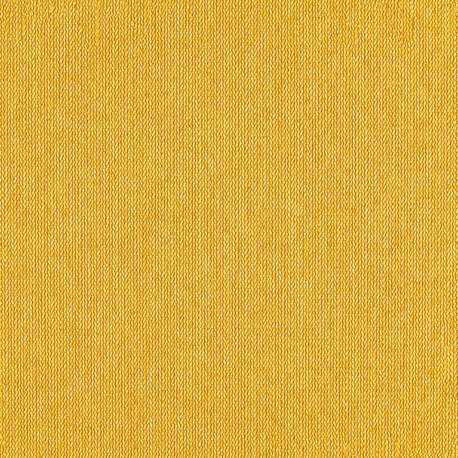 Percept - Radiant - 4040 - 24