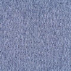 Percept - Fringe - 4040 - 28 - Half Yard