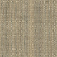 Particulate - Molecule - 4109 - 01 - Half Yard