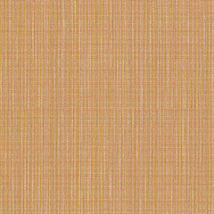 Particulate - Quasar - 4109 - 14 - Half Yard