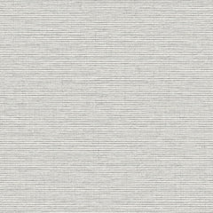Impasto - Alabaster - 7021 - 03 - Half Yard