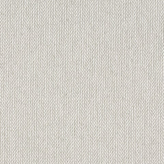 Percept - Pristine - 4040 - 01 - Half Yard