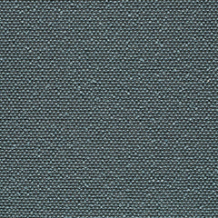 Rhetoric - Logos - 7017 - 05 - Half Yard