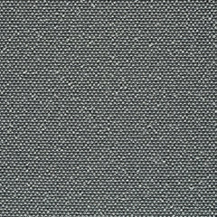 Rhetoric - Pathos - 7017 - 06 - Half Yard