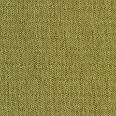 Percept - Reason - 4040 - 09 - Half Yard