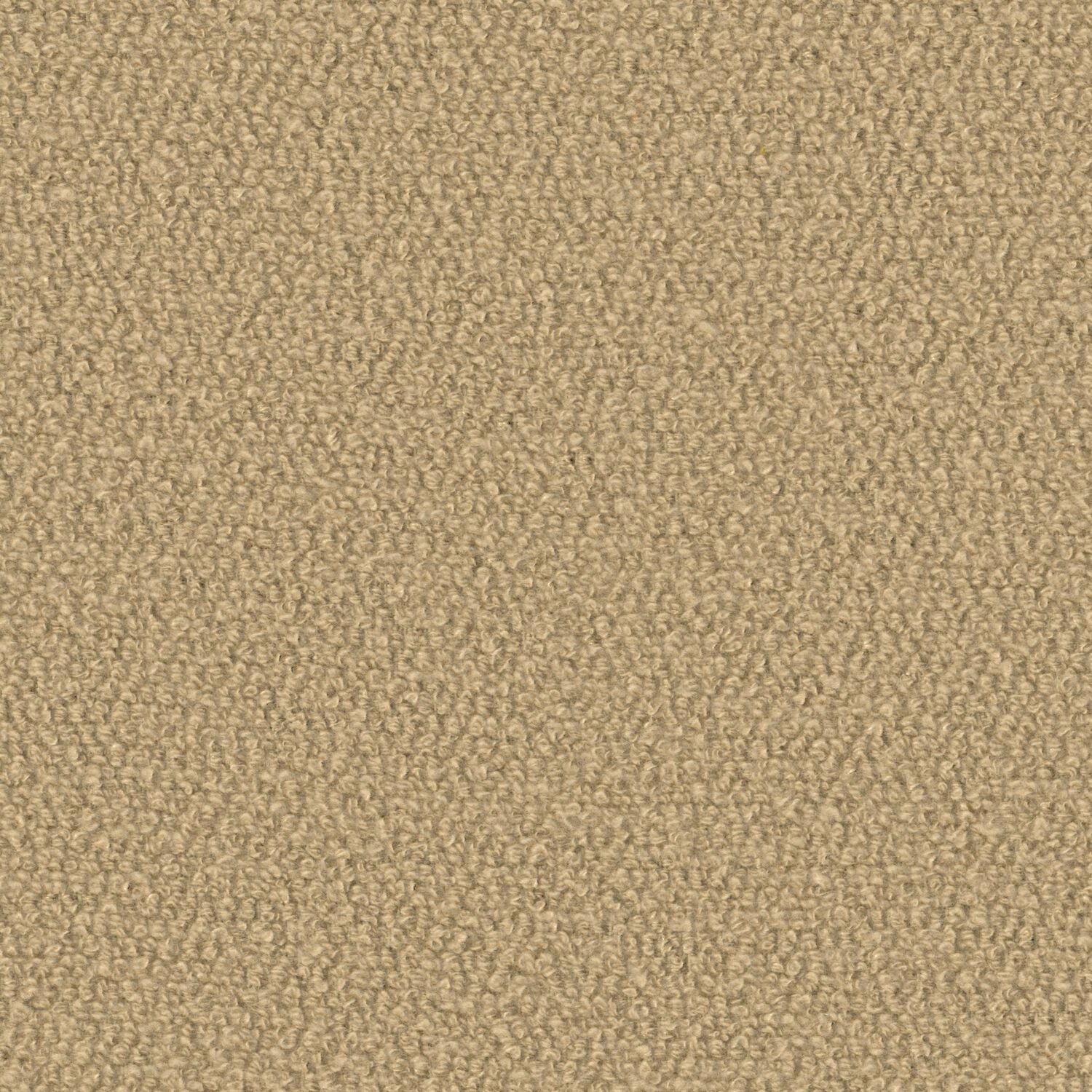 Super Shearling - Petitgrain - 4119 - 06