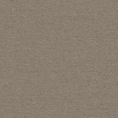 Simplicity - Earl Grey - 2008 - 03 - Half Yard