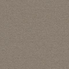 Simplicity - Earl Grey - 2008 - 03 - Half Yard