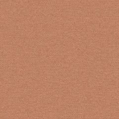 Simplicity - Salmon - 2008 - 06 - Half Yard