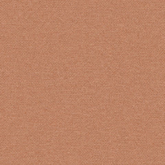 Simplicity - Salmon - 2008 - 06