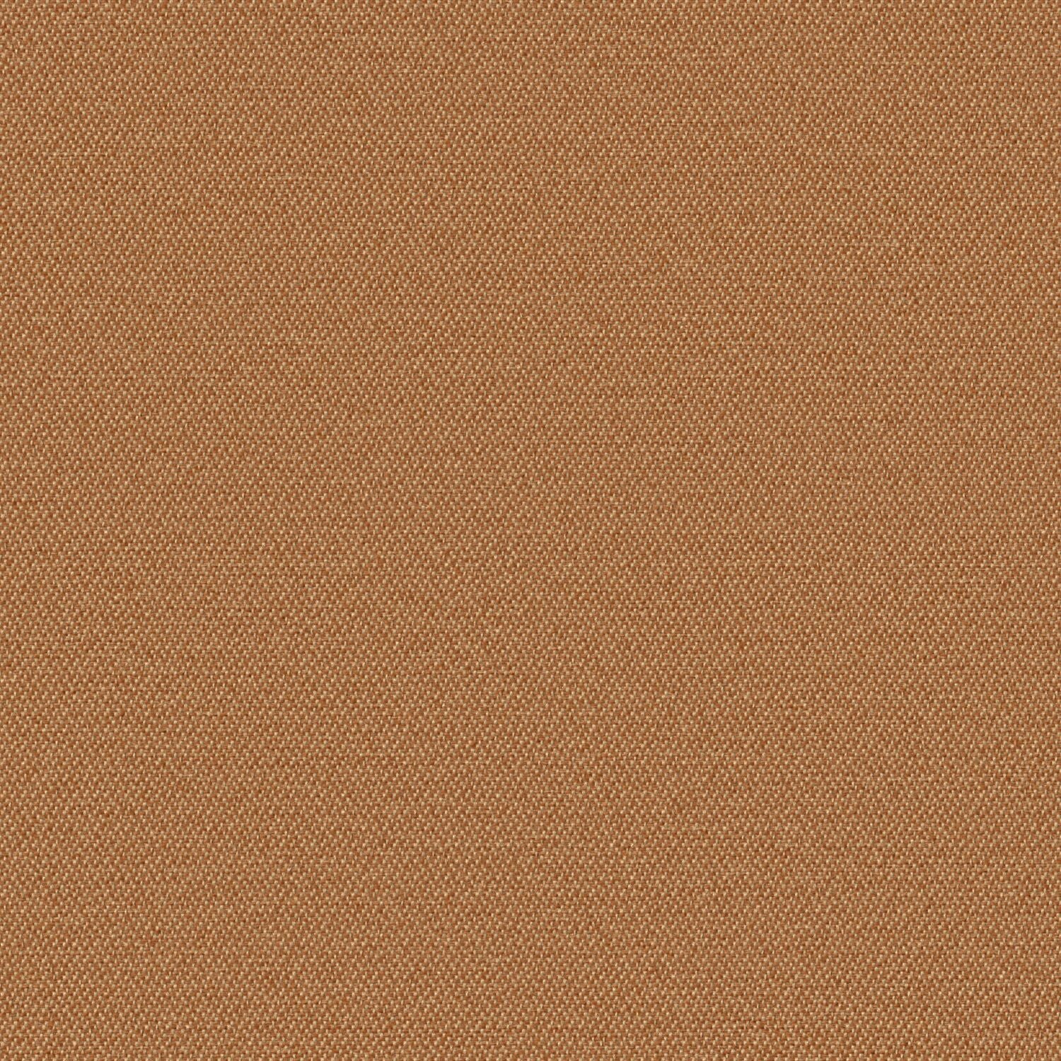 Simplicity - Raw Sienna - 2008 - 08