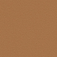 Simplicity - Raw Sienna - 2008 - 08